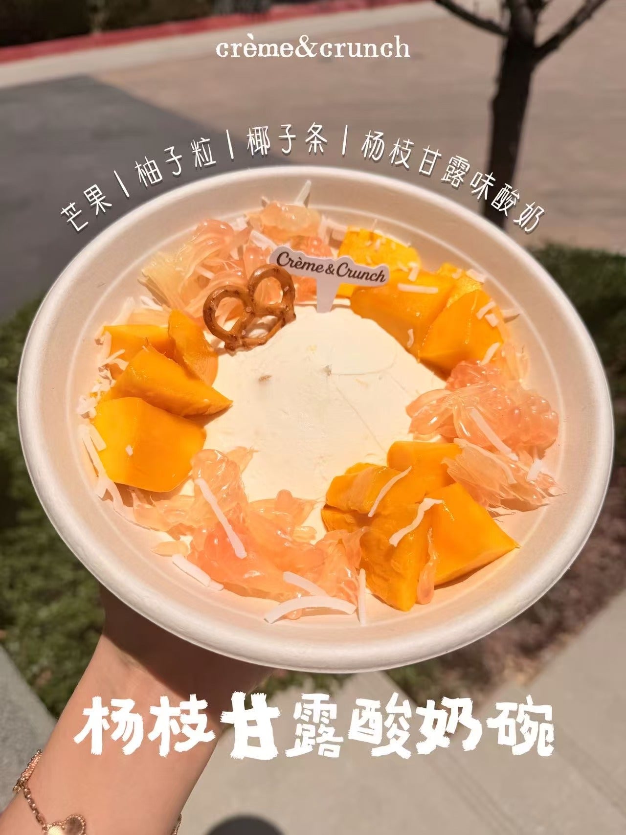 Mango Pomelo Sago Yogurt Bowl | 杨枝甘露酸奶碗